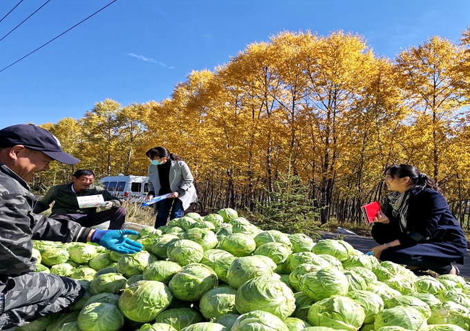 法治2.jpg