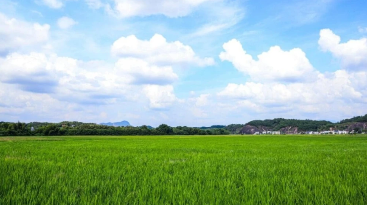乡村3.png