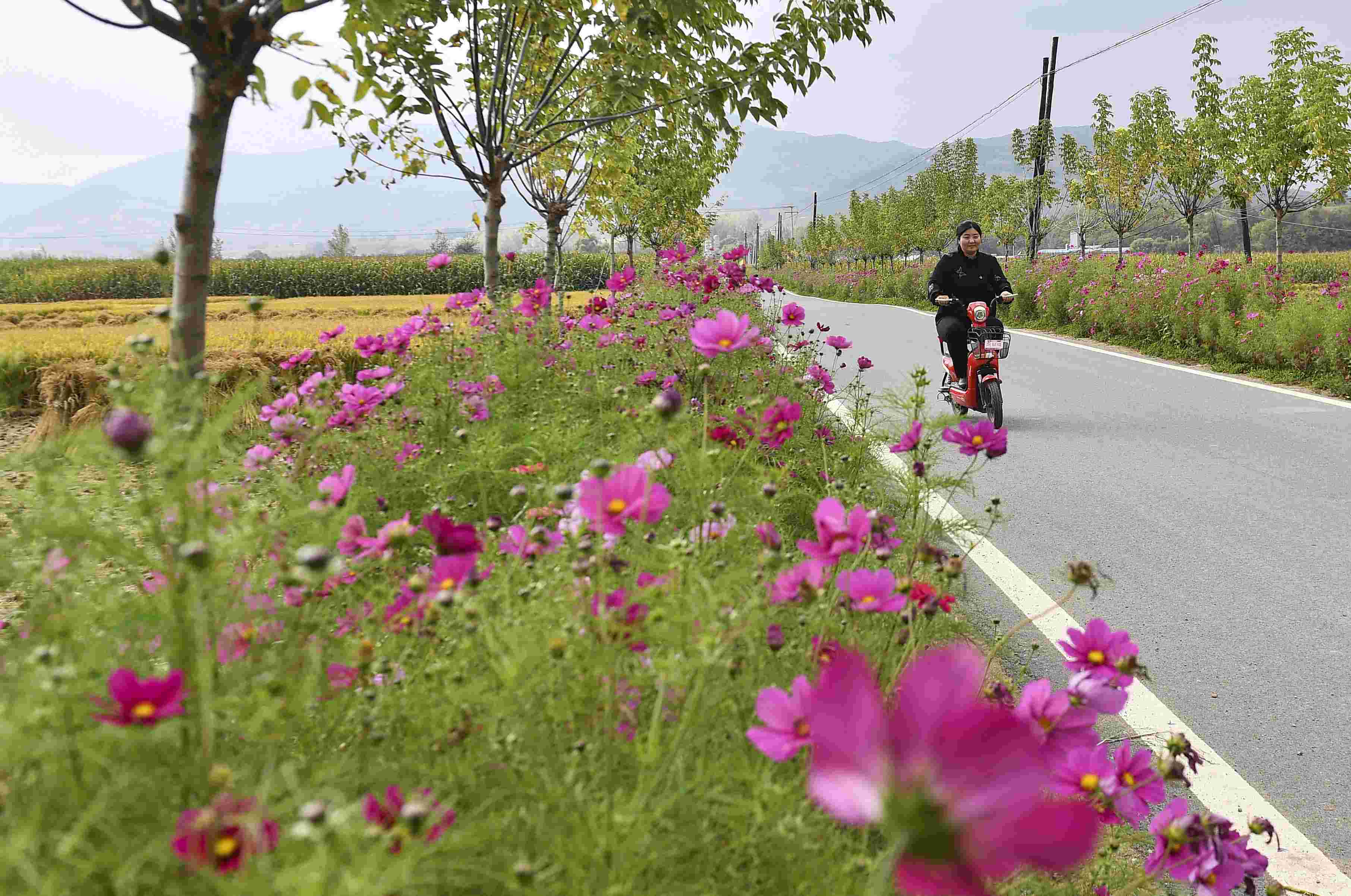 乡村1.jpg