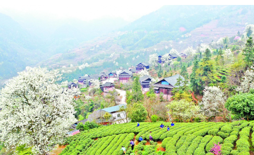 乡村1.png
