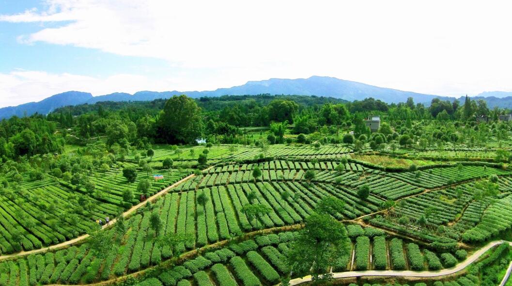 乡村3.jpg