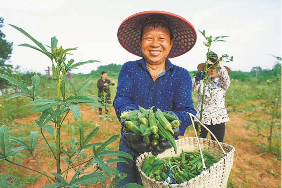 乡村2.png 乡村2.png