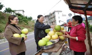 湖北下庄坡村：产业路上白柚香