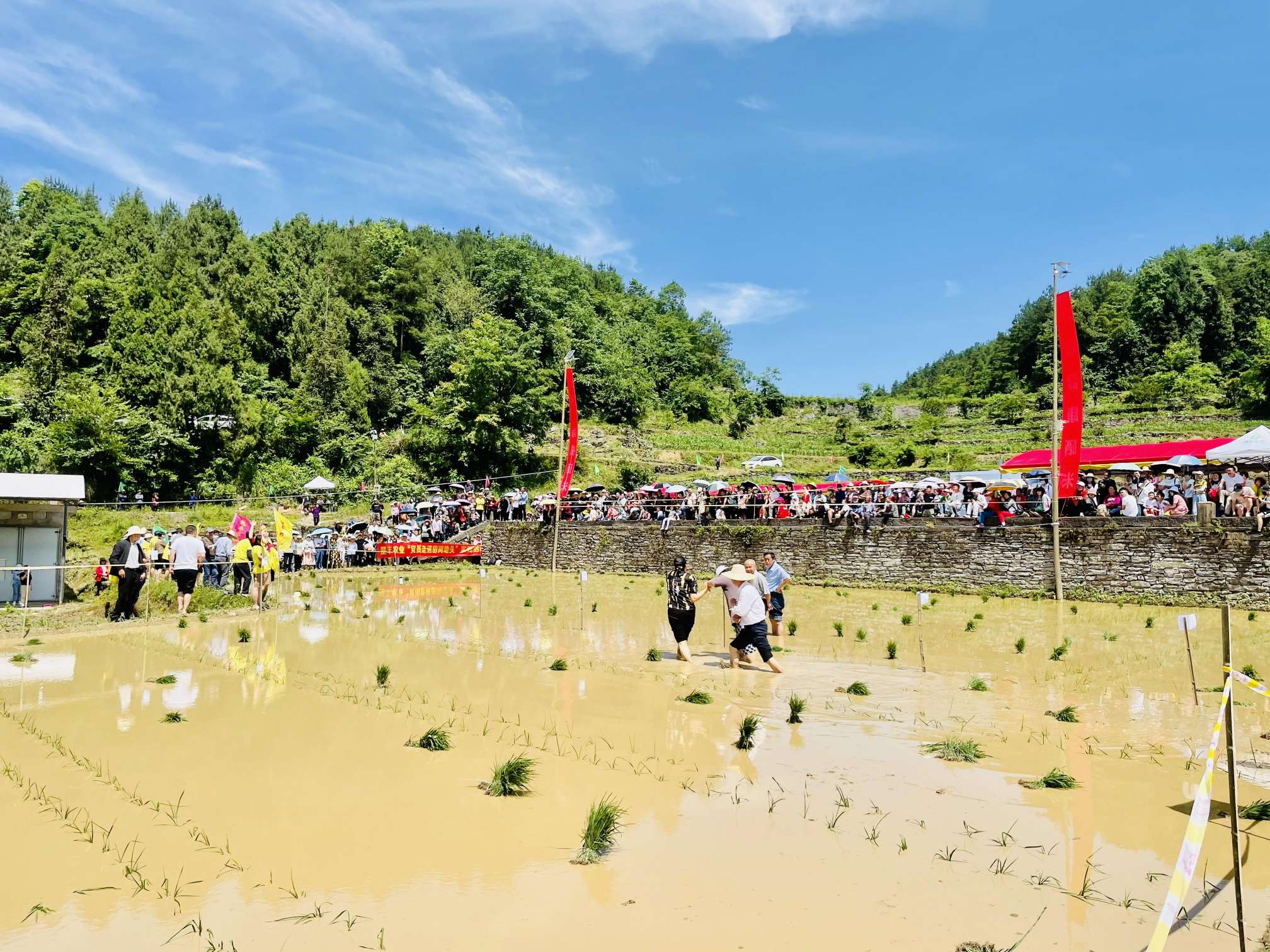 乡村3.jpg