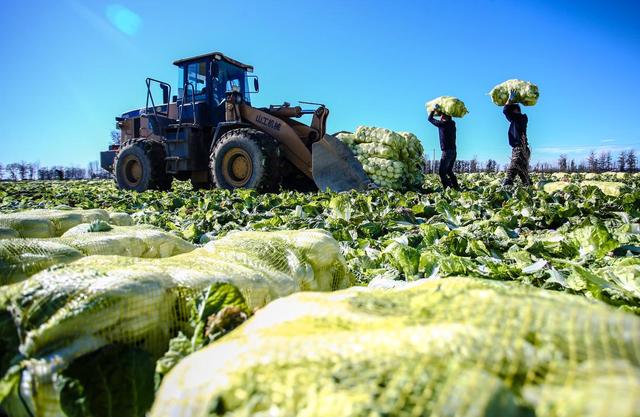 乡村1.jpeg 乡村1.jpeg