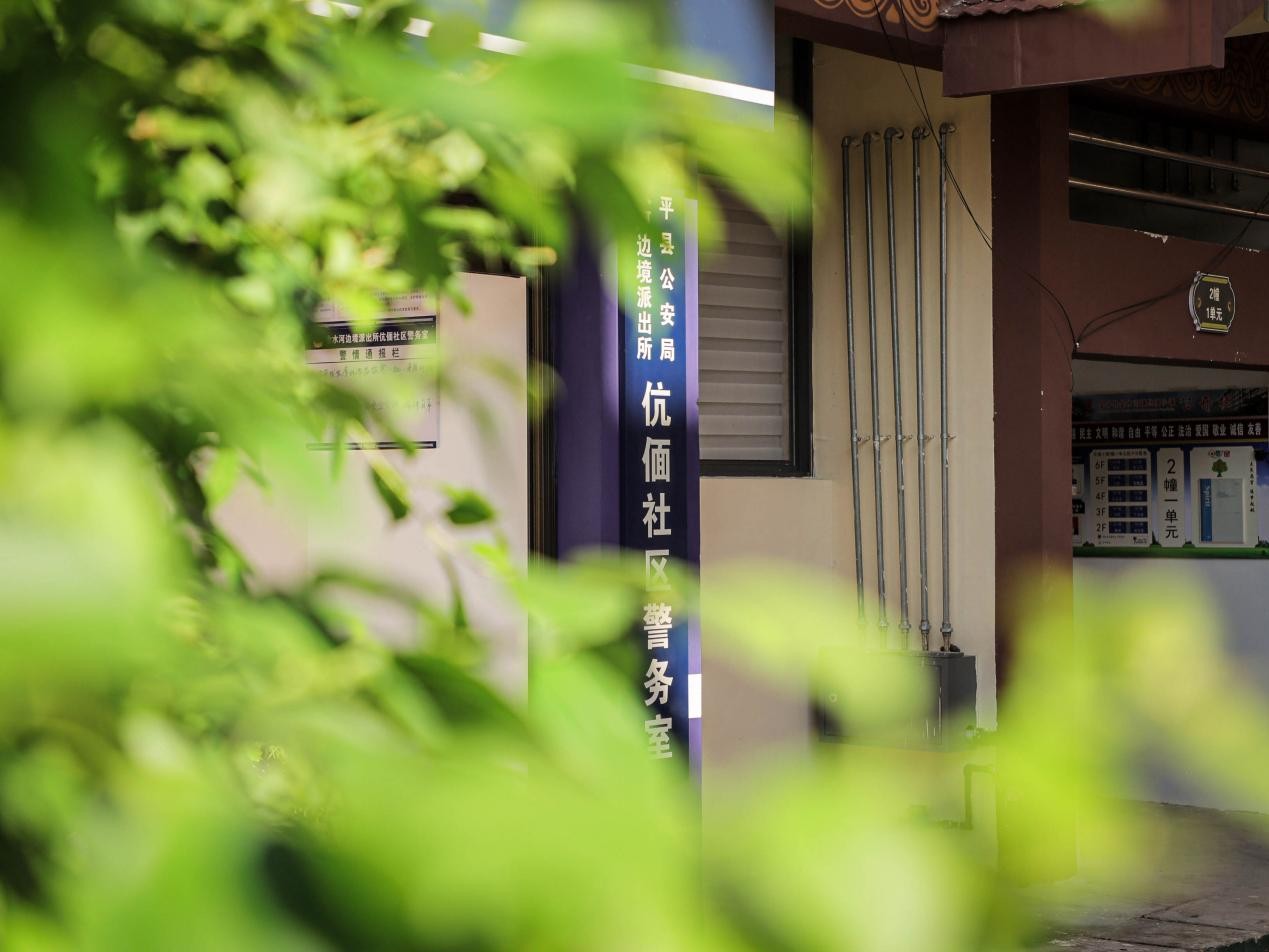 法治2.jpg