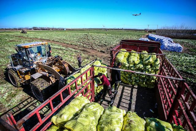 乡村2.jpeg 乡村2.jpeg