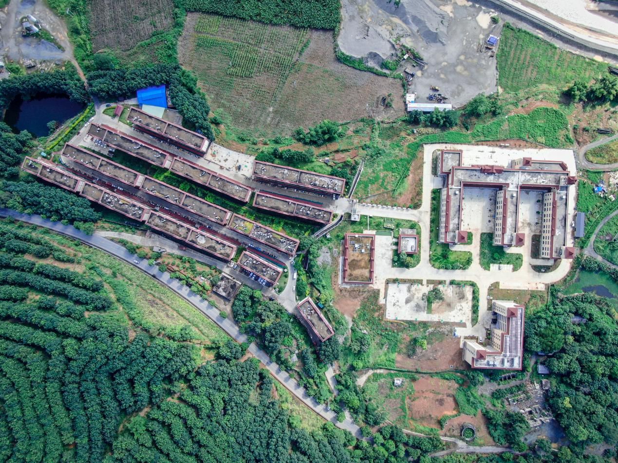法治1.jpg