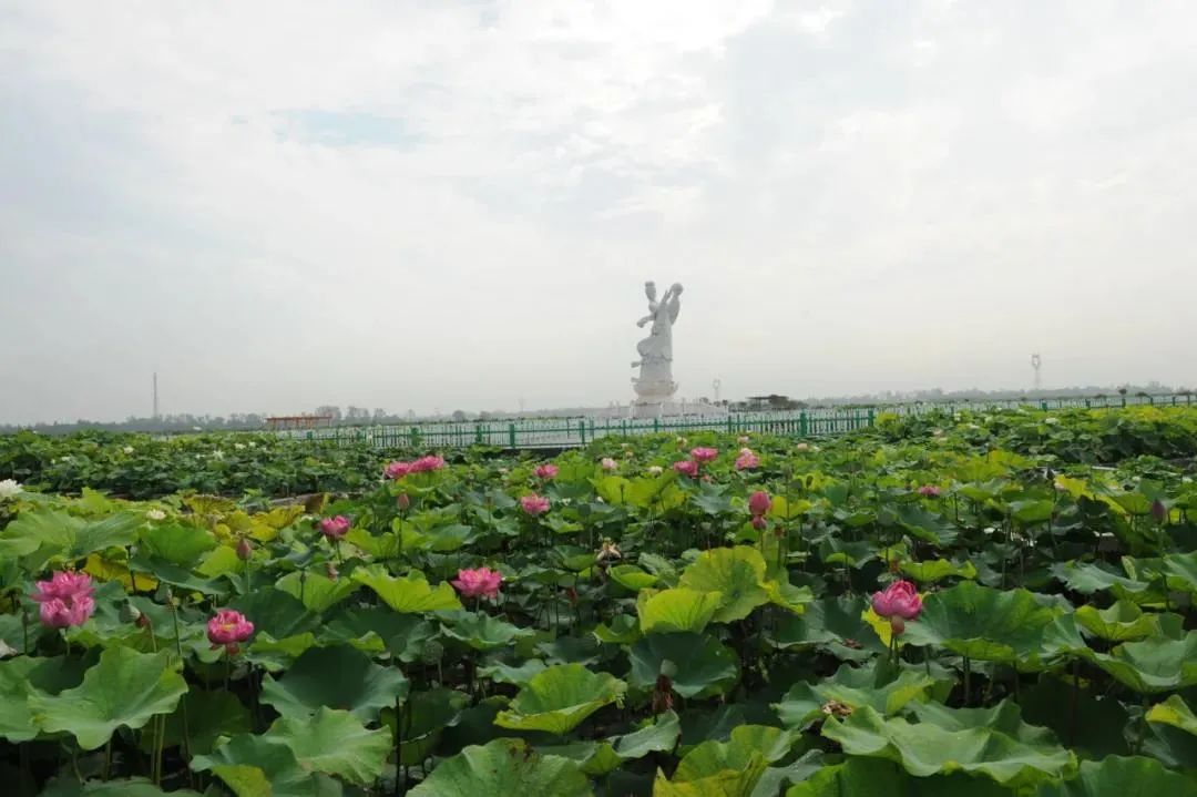 新闻1-1.jpg