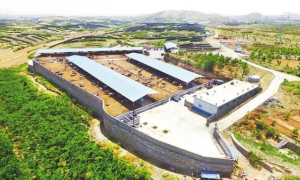 用足每寸荒山 孕育富民产业