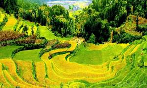 绿水青山带笑颜  乡村振兴正当时