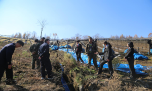 翻山越岭办实事  田间地头解民忧