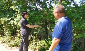 法官“暴走”玉米地 不误农时保秋收