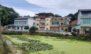 乡村面貌大变样 环境整治见成效