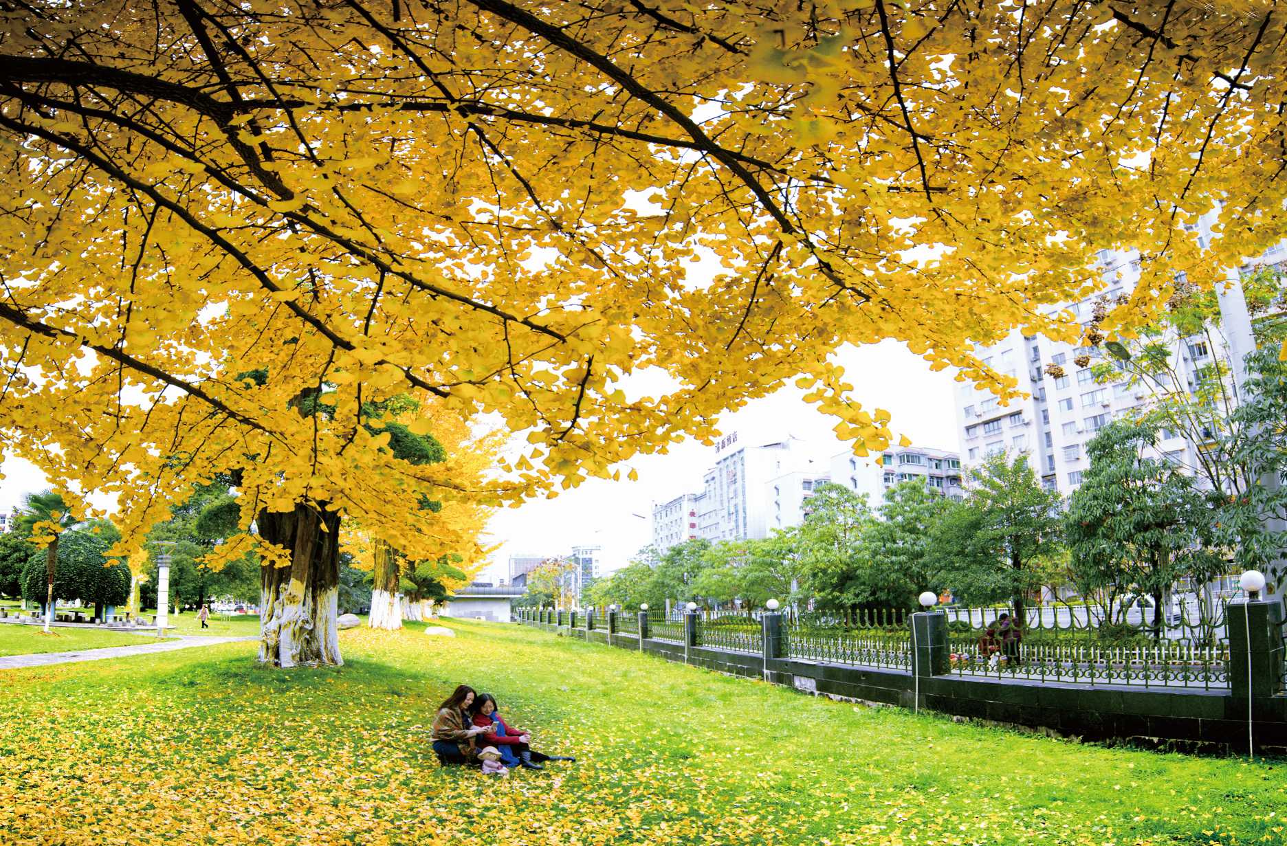 城市公园醉游人.jpg