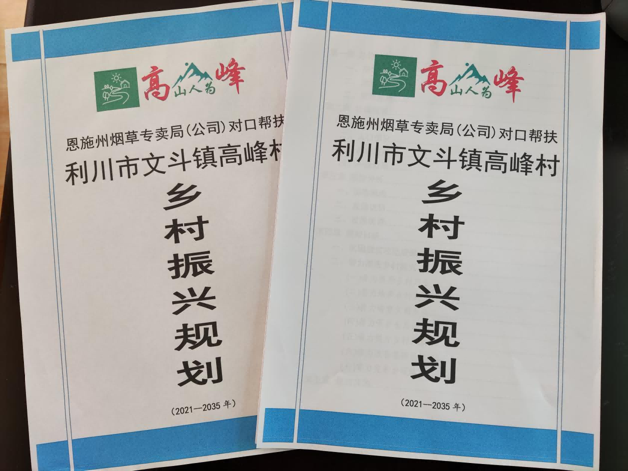 驻村工作队帮助编制的乡村振兴规划.png