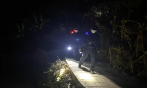 闪烁在夜间的“小警灯”