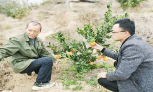 “钱袋子”鼓起来 “心窝子”热起来