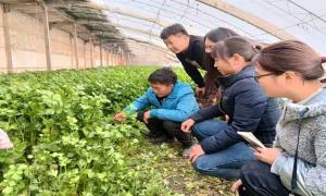 “冬季法治大培训”为群众送上致富“金钥匙”