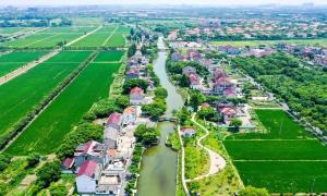 上海和睦村用生态底色绘就发展亮色