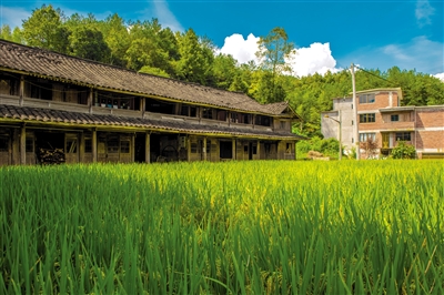 乡村2.jpg