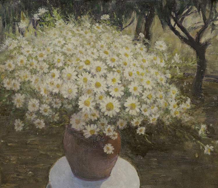 雏菊.jpg