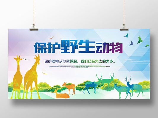 法治观察.jpg