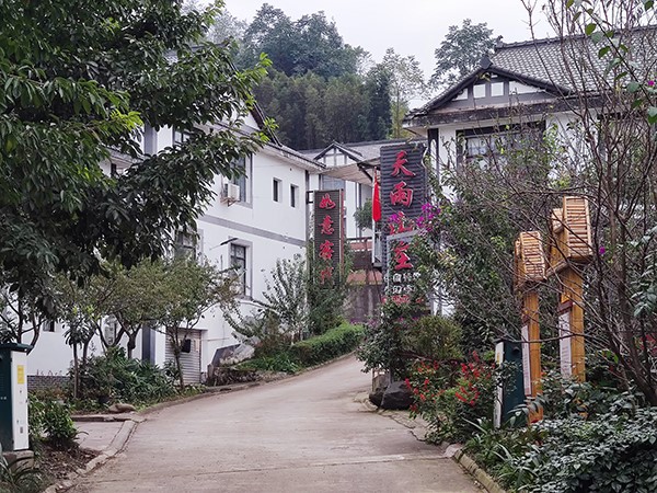 乡村2.jpg