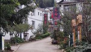 “三美”引领促发展 乡村振兴在路上