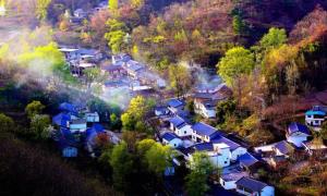 “乡村游”促“乡村兴”