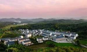 农民作家写农村