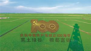壮美震撼 富锦稻田画