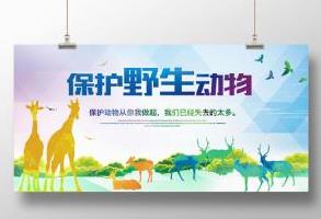 野兔自投罗网 自己也被抓个正着