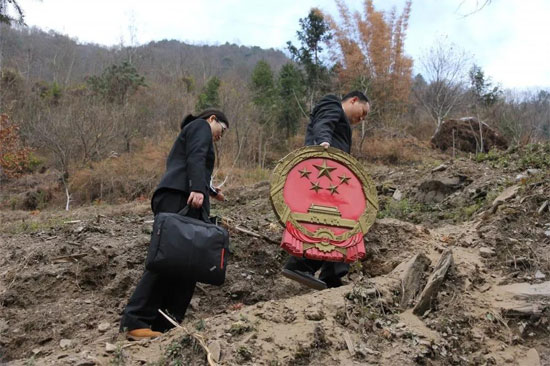 法治1.jpg