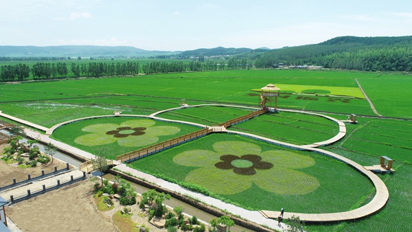 乡村1.jpg