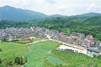 乡村1.jpg