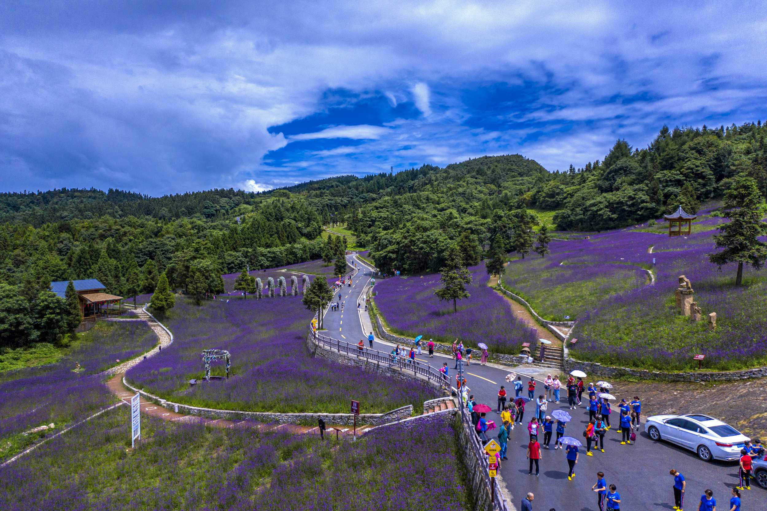 乡村2.jpg