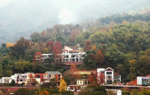 乡村2.jpg