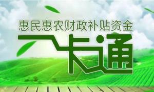 靶向整治农村“微腐败”