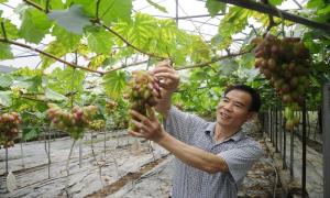 群英村筑好小康基 走好小康路