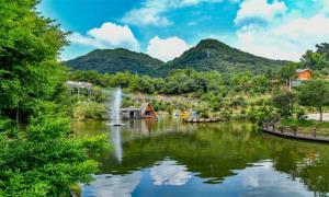 拥抱数字化转型 打造大湾区生态“后花园”