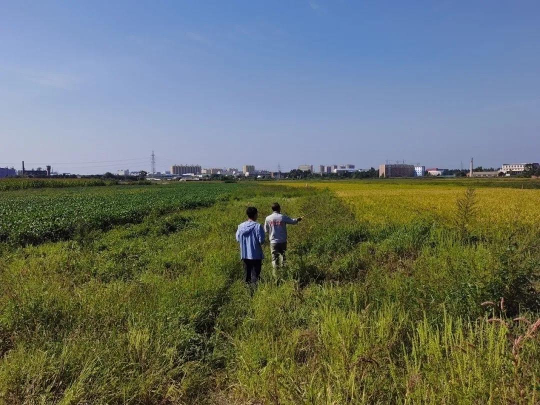 法治1.jpg