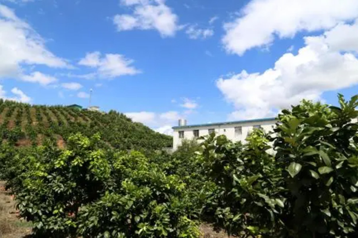 乡村1(1).jpg