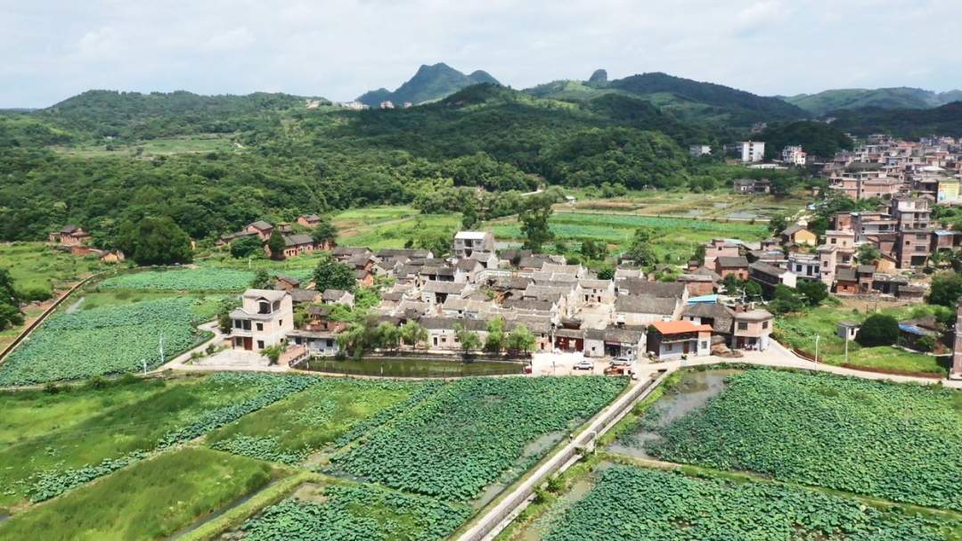 法治.jpg