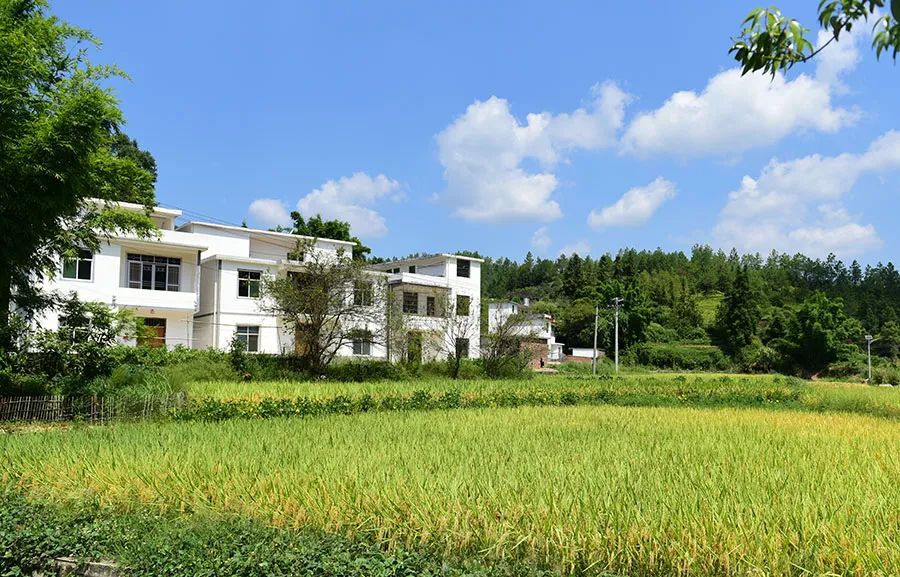 乡村2.jpg