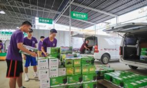福建福安：构建“智慧”引擎 助推乡村振兴