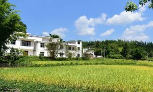 上犹县：大力建设新时代“五美”乡村