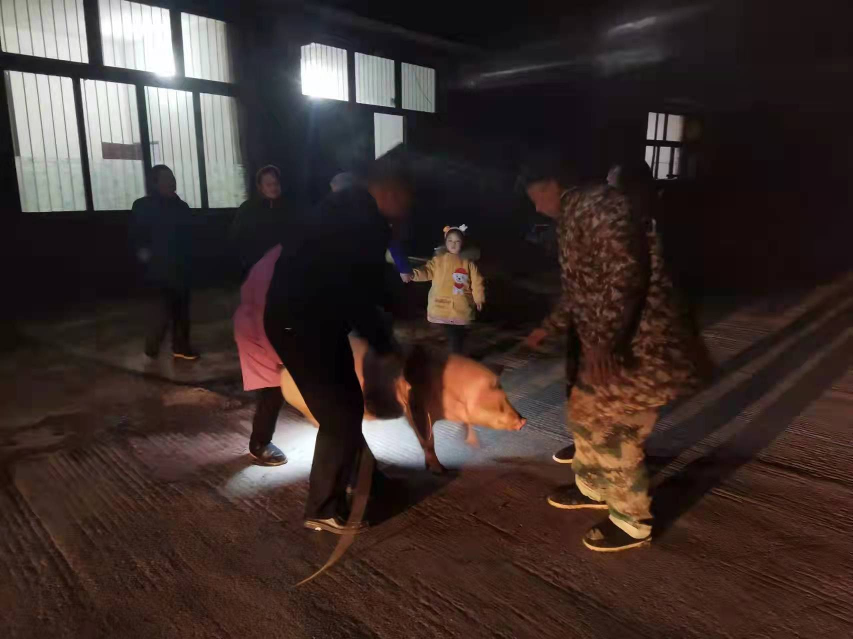 图片 1.png