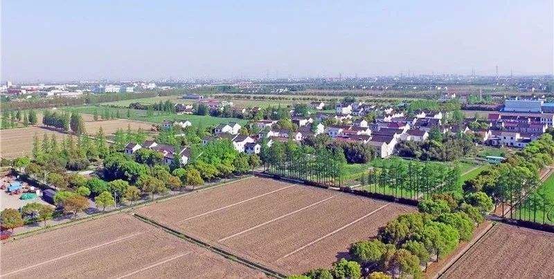 乡村1.jpg