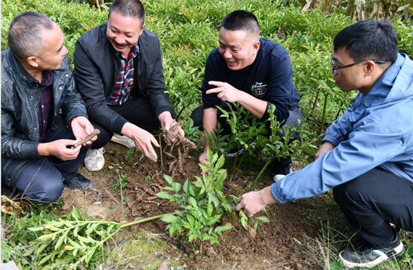 jianshi3.jpg jianshi3.jpg